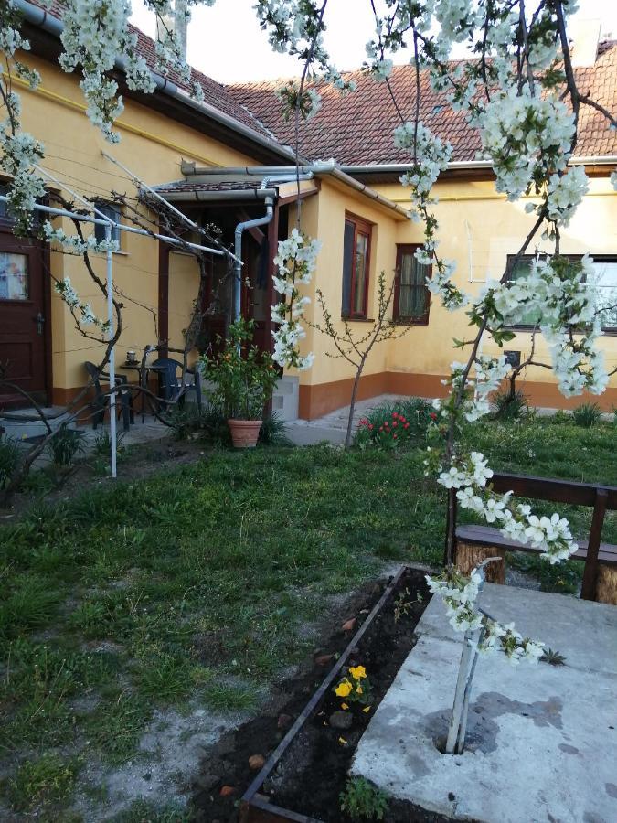 Vila Harsfak Mezokovacshaza Exteriér fotografie