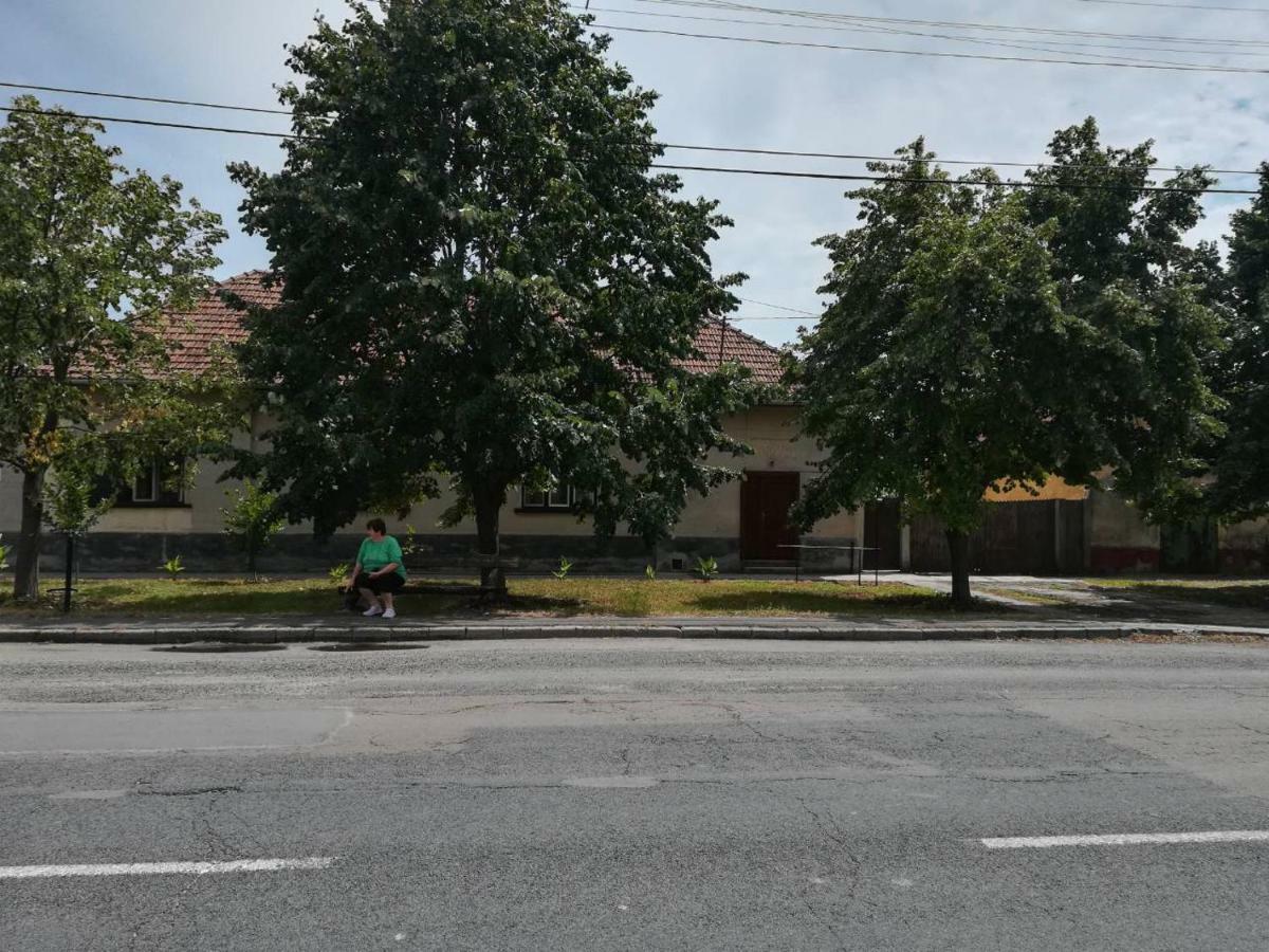 Vila Harsfak Mezokovacshaza Exteriér fotografie