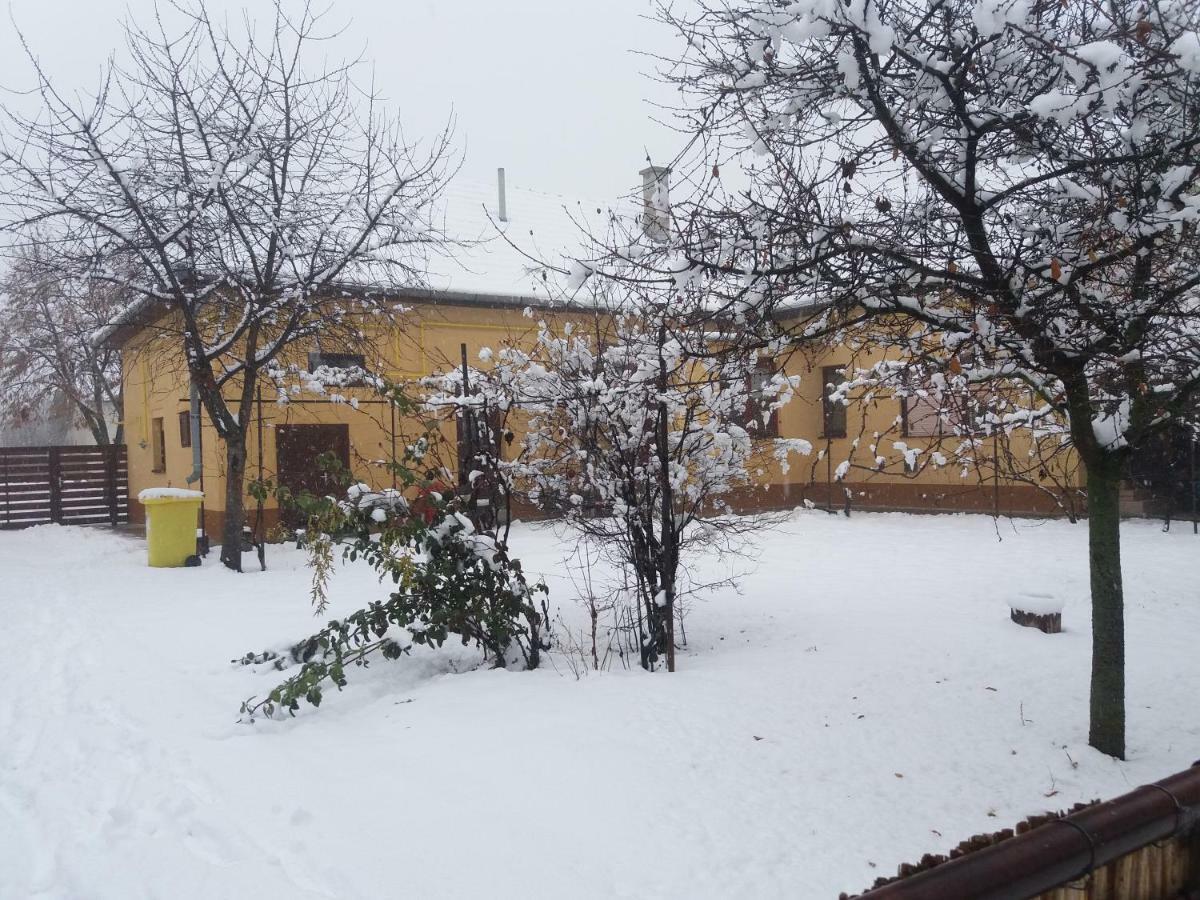 Vila Harsfak Mezokovacshaza Exteriér fotografie