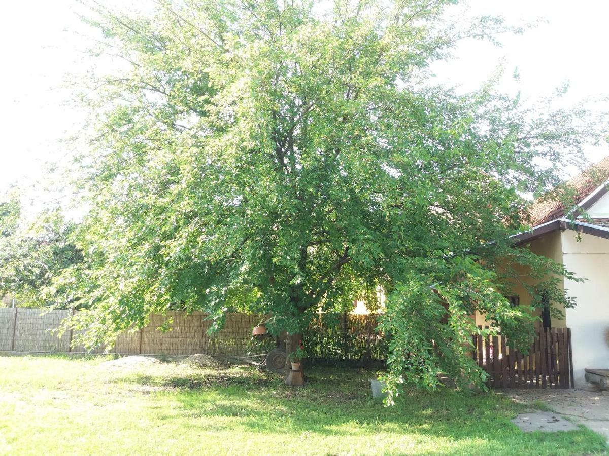 Vila Harsfak Mezokovacshaza Exteriér fotografie