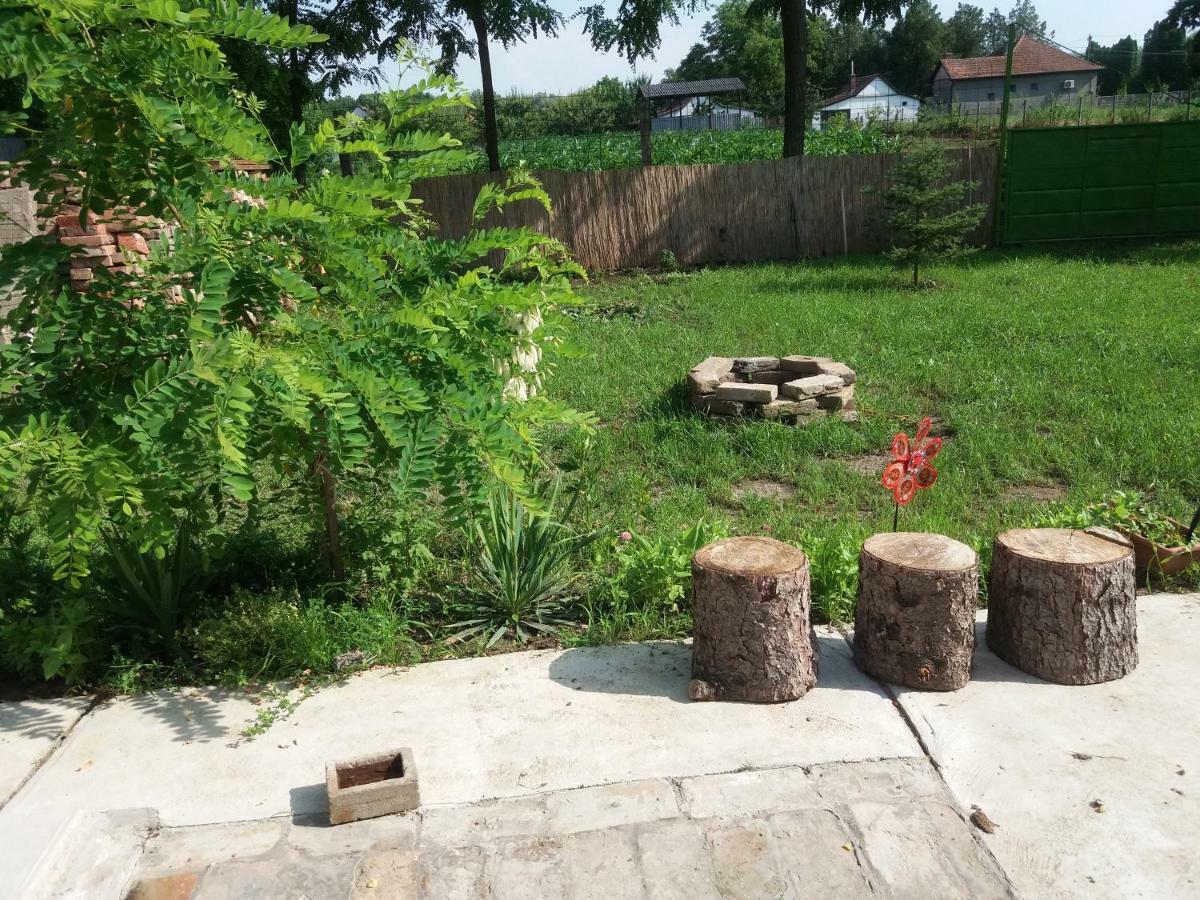 Vila Harsfak Mezokovacshaza Exteriér fotografie