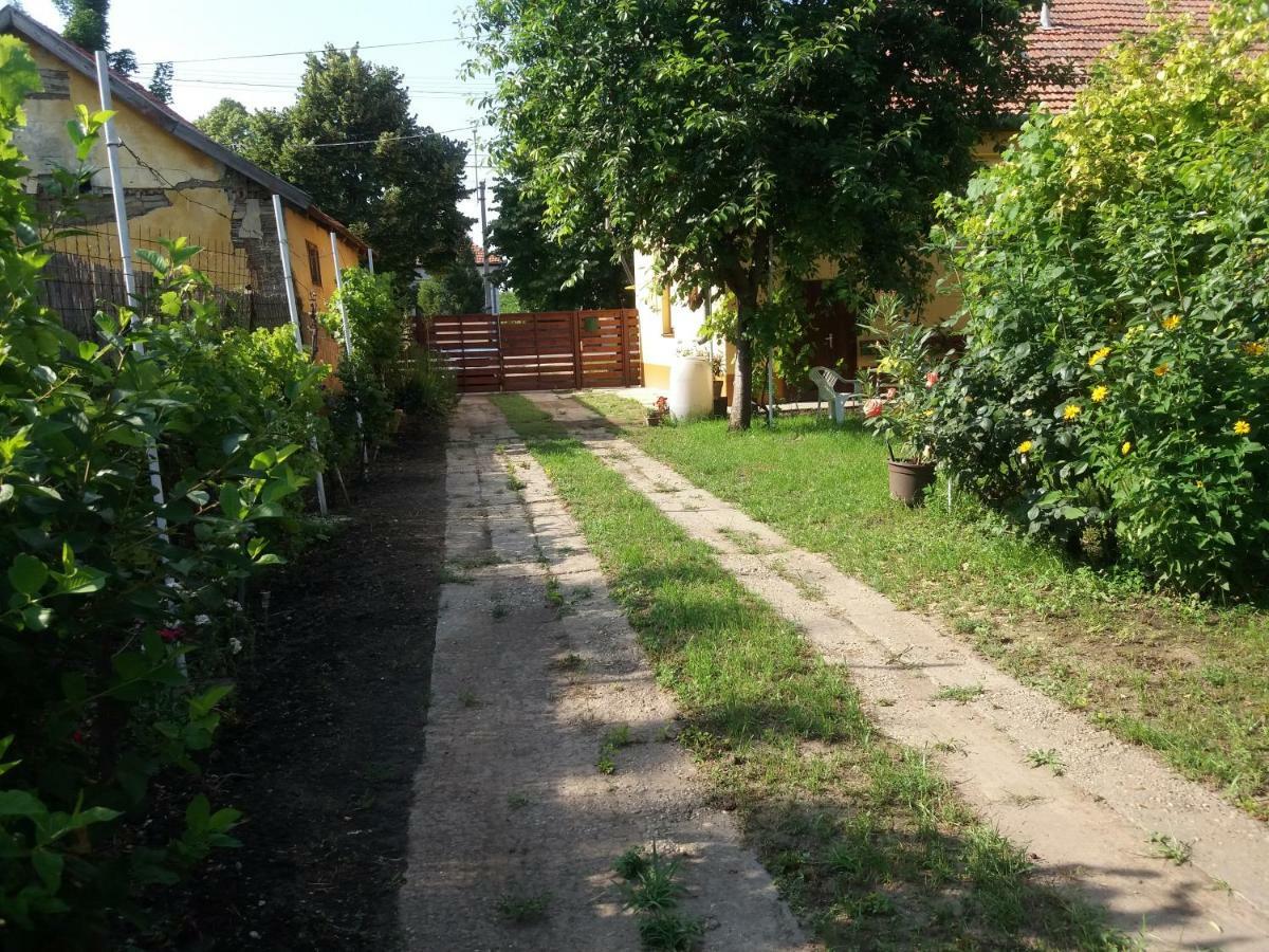 Vila Harsfak Mezokovacshaza Exteriér fotografie